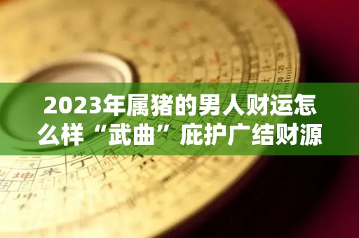 2023年属猪的男人财运怎么样“武曲”庇护广结财源（2023年属猪人的全年感情运势）