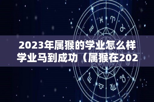 2023年属猴的学业怎么样学业马到成功（属猴在2023年学业卜易居）