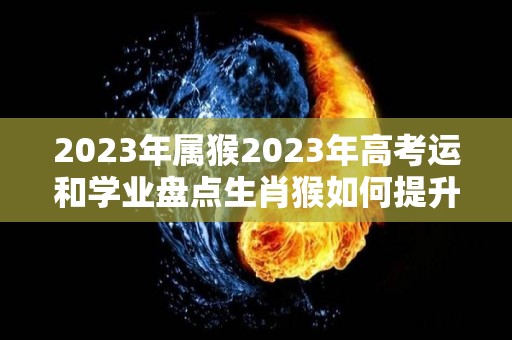 2023年属猴2023年高考运和学业盘点生肖猴如何提升学业运（2023年属猴人高考运势）