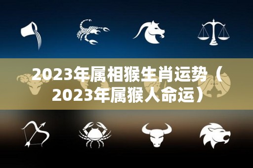 2023年属相猴生肖运势（2023年属猴人命运）