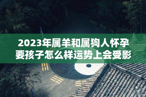 2023年属羊和属狗人怀孕要孩子怎么样运势上会受影响吗（属羊和属狗的人生个属什么的孩子好）