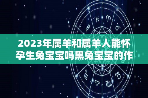 2023年属羊和属羊人能怀孕生兔宝宝吗黑兔宝宝的作用（属羊的2023年生宝宝好吗）