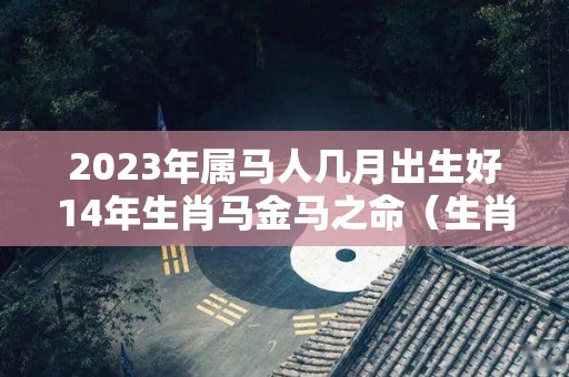 2023年属马人几月出生好14年生肖马金马之命（生肖马在2023年的运势以及注意月份）