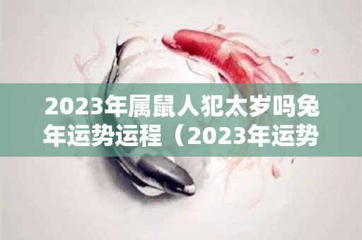 2023年属鼠人犯太岁吗兔年运势运程（2023年运势）