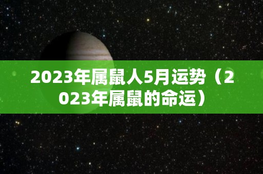 2023年属鼠人5月运势（2023年属鼠的命运）