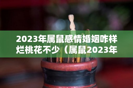 2023年属鼠感情婚姻咋样烂桃花不少（属鼠2023年感情运）