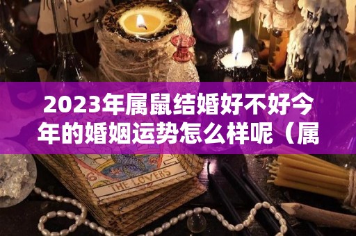 2023年属鼠结婚好不好今年的婚姻运势怎么样呢（属鼠的2023年结婚的好日子）