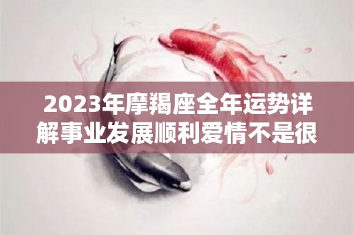 2023年摩羯座全年运势详解事业发展顺利爱情不是很好（2023年摩羯座大事件预言）