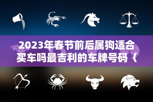 2023年春节前后属狗适合买车吗最吉利的车牌号码（属狗的买车选号吉祥数字）