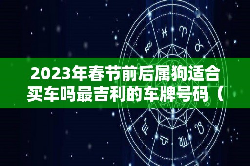 2023年春节前后属狗适合买车吗最吉利的车牌号码（属狗的2020年买车好不好）