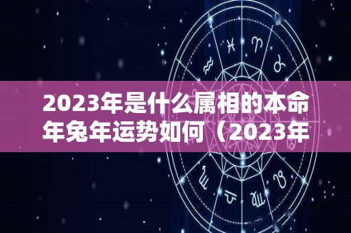 2023年是什么属相的本命年兔年运势如何（2023年兔本命年的大忌属相是什么）