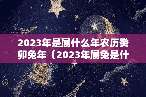 2023年是属什么年农历癸卯兔年（2023年属兔是什么兔）