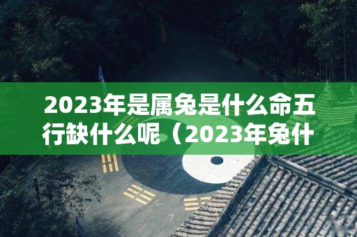 2023年是属兔是什么命五行缺什么呢（2023年兔什么命五行属性）