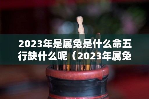 2023年是属兔是什么命五行缺什么呢（2023年属兔是什么命格）