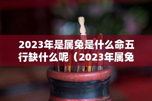 2023年是属兔是什么命五行缺什么呢（2023年属兔的是什么命 五行属什么）