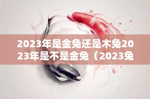 2023年是金兔还是木兔2023年是不是金兔（2023兔年是什么年金木水火土）