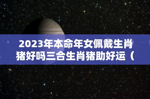 2023年本命年女佩戴生肖猪好吗三合生肖猪助好运（2021本命年女生佩戴什么生肖）