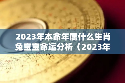 2023年本命年属什么生肖兔宝宝命运分析（2023年兔年本命年运势）