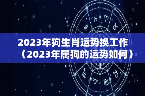 2023年狗生肖运势换工作（2023年属狗的运势如何）