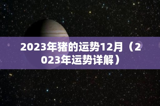 2023年猪的运势12月（2023年运势详解）