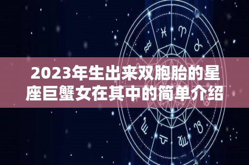 2023年生出来双胞胎的星座巨蟹女在其中的简单介绍