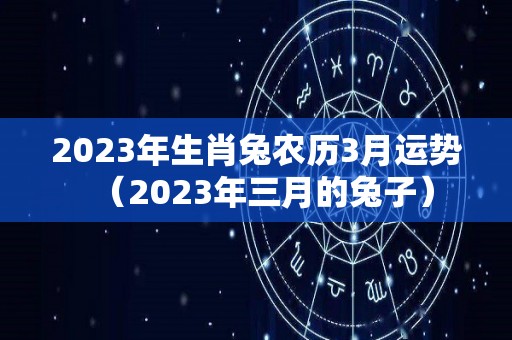 2023年生肖兔农历3月运势（2023年三月的兔子）