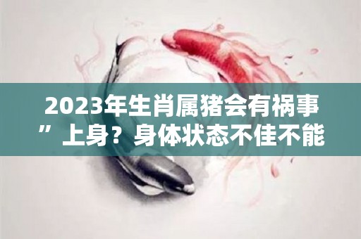 2023年生肖属猪会有祸事”上身？身体状态不佳不能忽略！（属猪的2023年）