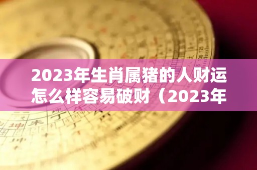 2023年生肖属猪的人财运怎么样容易破财（2023年属猪的财运和运气如何）