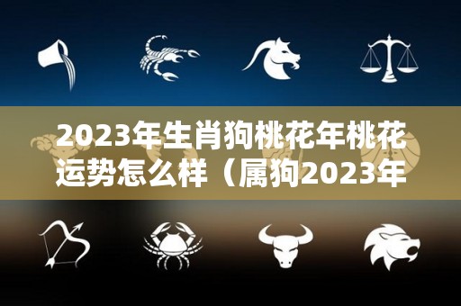 2023年生肖狗桃花年桃花运势怎么样（属狗2023年感情运势）