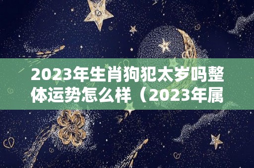 2023年生肖狗犯太岁吗整体运势怎么样（2023年属狗）