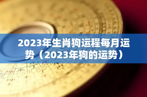 2023年生肖狗运程每月运势（2023年狗的运势）