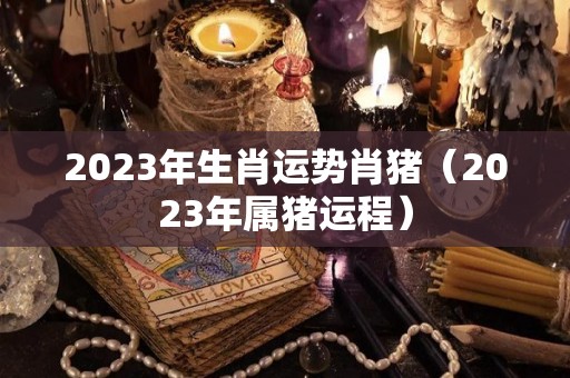 2023年生肖运势肖猪（2023年属猪运程）