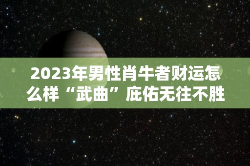 2023年男性肖牛者财运怎么样“武曲”庇佑无往不胜（2023年属牛人的财运如何）