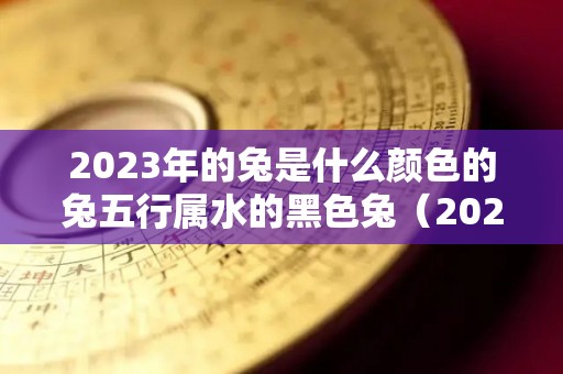 2023年的兔是什么颜色的兔五行属水的黑色兔（2023年属兔什么水命）