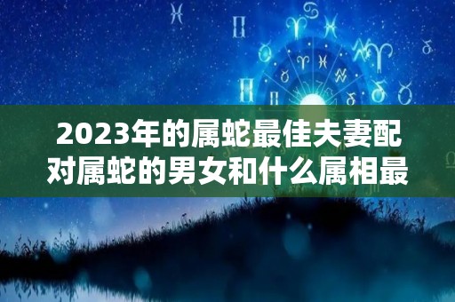 2023年的属蛇最佳夫妻配对属蛇的男女和什么属相最配（2023年属蛇人的全年运势如何）