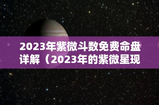 2023年紫微斗数免费命盘详解（2023年的紫微星现在知道自己是紫微星了吗?）