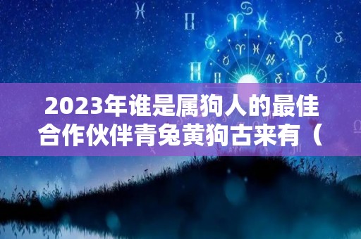 2023年谁是属狗人的最佳合作伙伴青兔黄狗古来有（2023兔年属狗的运势怎么样）