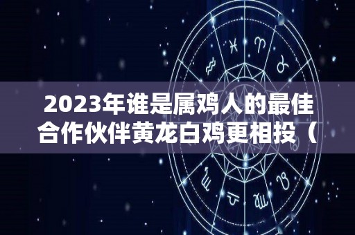 2023年谁是属鸡人的最佳合作伙伴黄龙白鸡更相投（2023年生肖鸡）