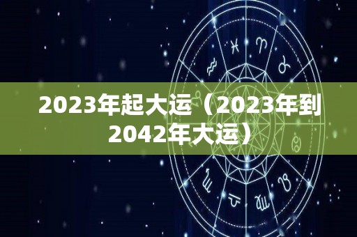 2023年起大运（2023年到2042年大运）