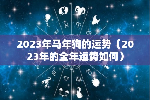 2023年马年狗的运势（2023年的全年运势如何）