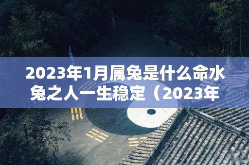 2023年1月属兔是什么命水兔之人一生稳定（2023年1月出生的宝宝是什么命）