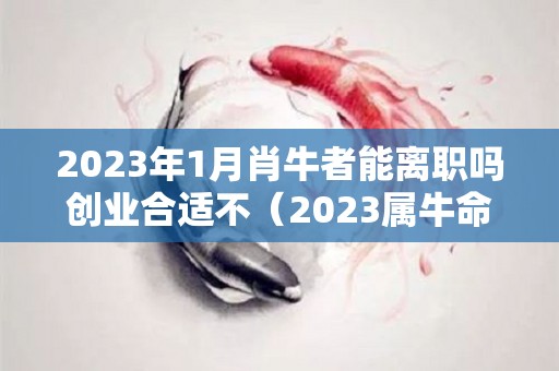 2023年1月肖牛者能离职吗创业合适不（2023属牛命运怎样）