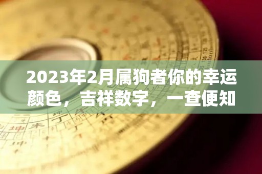 2023年2月属狗者你的幸运颜色，吉祥数字，一查便知！（2023年属狗的运势和财运怎么样）