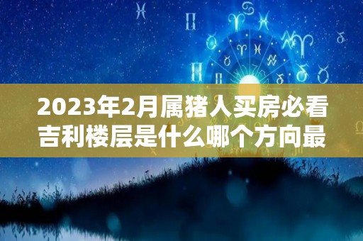 2023年2月属猪人买房必看吉利楼层是什么哪个方向最旺（属猪人在2023年的运势如何）