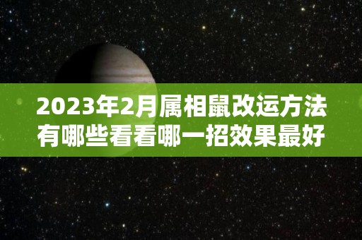 2023年2月属相鼠改运方法有哪些看看哪一招效果最好！（2023鼠的命运）