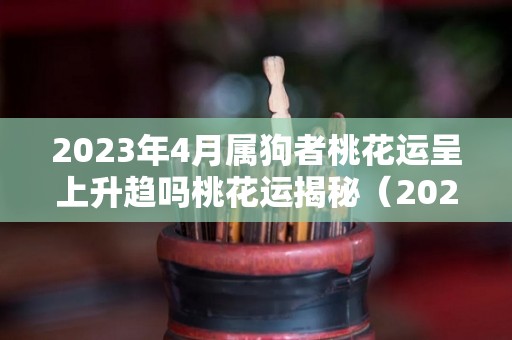 2023年4月属狗者桃花运呈上升趋吗桃花运揭秘（2021年4月23日属狗人运势）