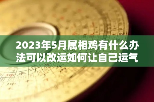 2023年5月属相鸡有什么办法可以改运如何让自己运气旺起来运气好（2023年属鸡人）