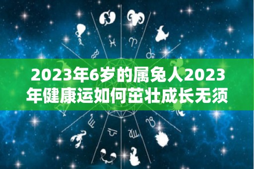 2023年6岁的属兔人2023年健康运如何茁壮成长无须担心（2023年属兔怎么样）