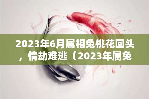 2023年6月属相兔桃花回头，情劫难逃（2023年属兔的）