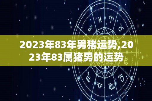 2023年83年男猪运势,2023年83属猪男的运势